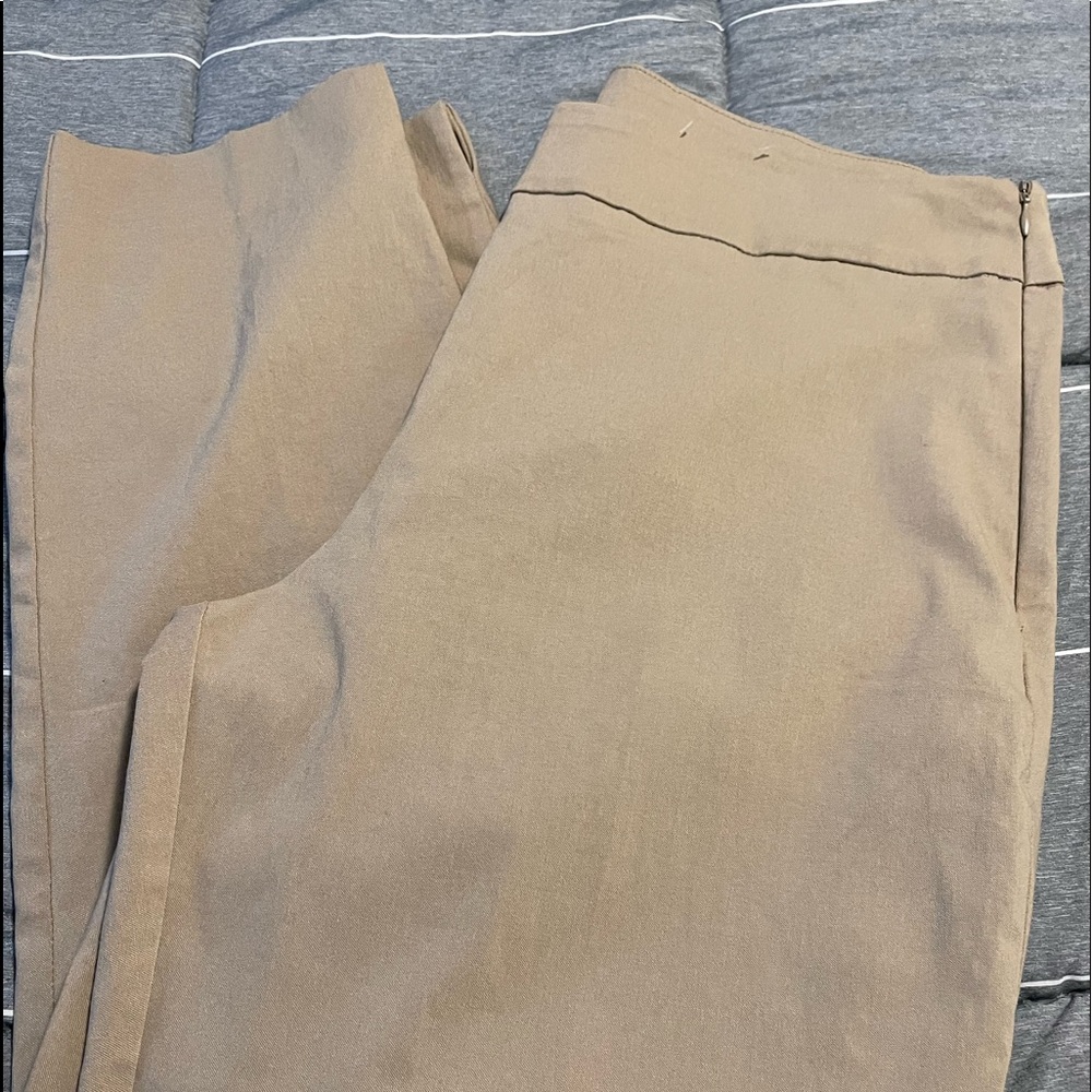 Size 18 Time and Tru pants